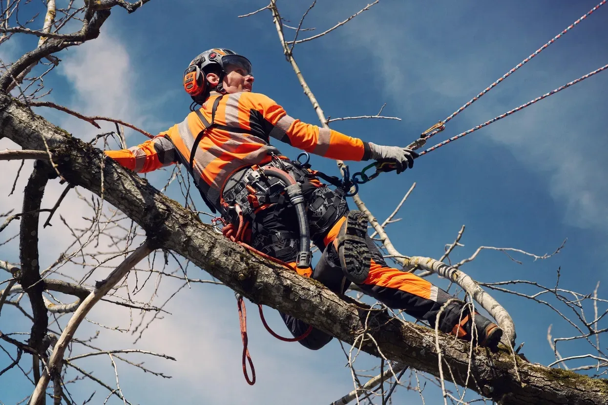Мотузка альпіністська Climbing