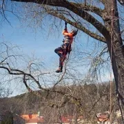 Мотузка альпіністська Climbing