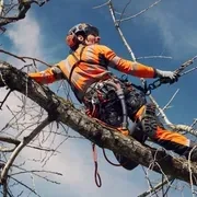 Мотузка альпіністська Climbing