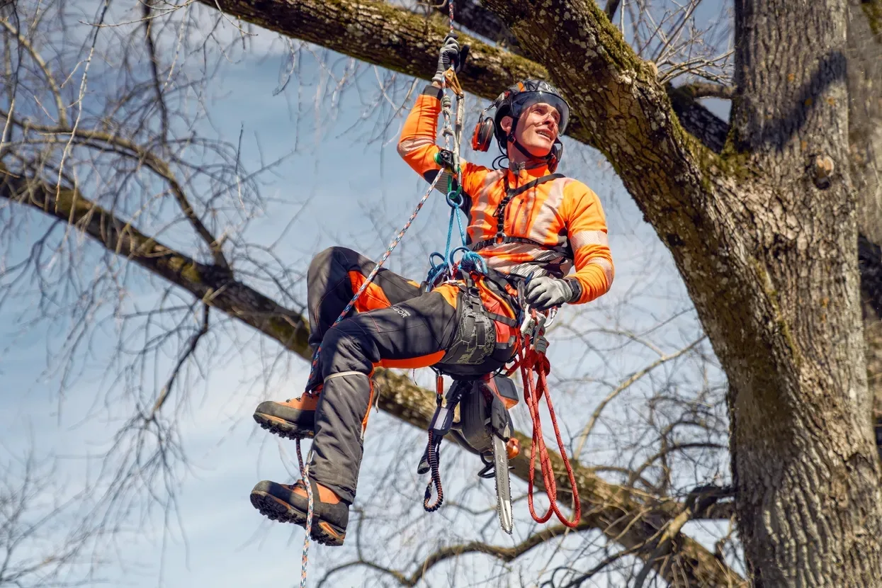 Веревка альпинистская Climbing