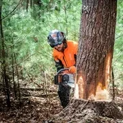 Цепи X-CUT C85; 3/8"; 1.5 мм; Долото