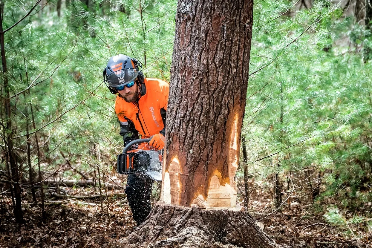 Цепи X-CUT C85; 3/8"; 1.5 мм; Долото