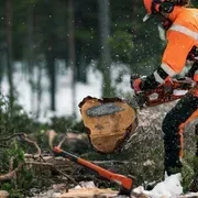 Ланцюги X-CUT SP33G; 0.325" Pixel; 1.3мм; Напівдолото