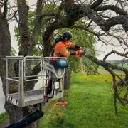 Ланцюги X-CUT S93G; 3/8" mini; 1.3мм; Напівдолото