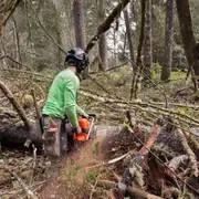 Ланцюги X-CUT S85; 3/8"; 1.5мм; Напівдолото