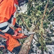 Ланцюги X-CUT S35G; 0.325"; 1.5мм; Напівдолото