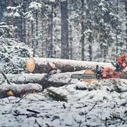 Ланцюги X-CUT S35G; 0.325"; 1.5мм; Напівдолото