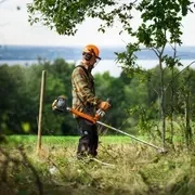 Травокосарка Husqvarna 336FR