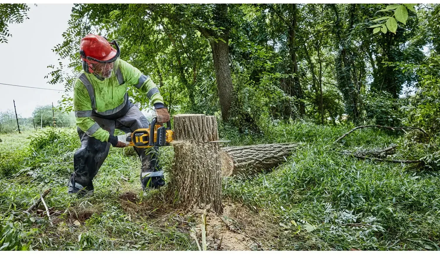 Ланцюгова пила DeWalt DCMCS574N