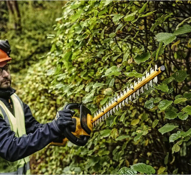 Аккумуляторный бесщеточный кусторез с телескопической штангой DeWALT DCMPH566P1