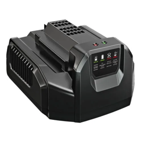 Зарядний пристрій EGO CH2100E