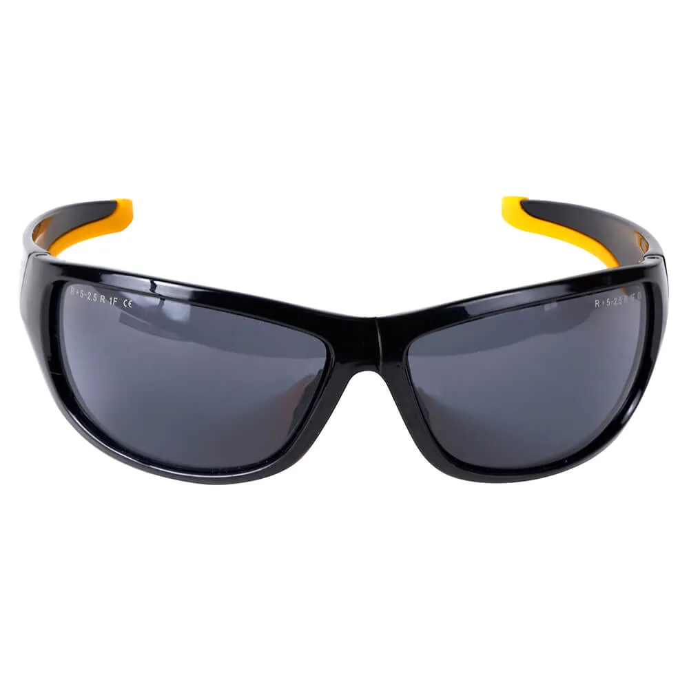 Очки защитные DeWALT DPG94-2D